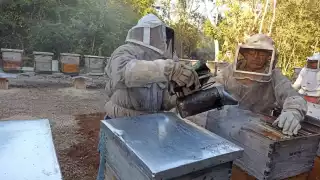 Varios establecimientos dedicados a captar la melaza de los productores se volvieron bodegas de alimentos