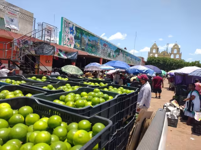 Actualmente la caja se vende hasta en 170 pesos