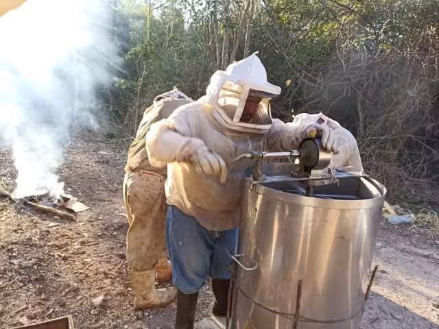 La mayoría de los intermediarios y centros de acopio pagan una miseria a los productores, pero luego ellos venden en dólares y obtienen buenas ganancias, mencionan Campesinos