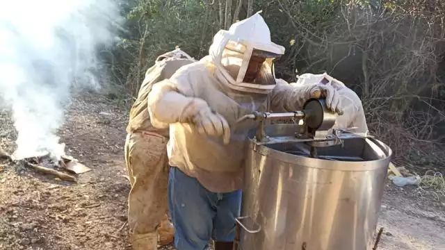 La mayoría de los intermediarios y centros de acopio pagan una miseria a los productores, pero luego ellos venden en dólares y obtienen buenas ganancias, mencionan Campesinos