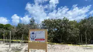 Más de 100 policías desalojan un predio en Xcalak, Quintana Roo
