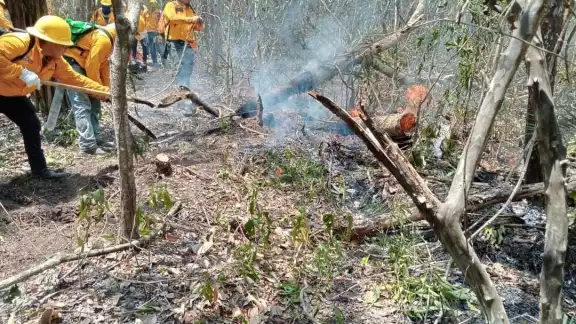 Autoridades señalan avance en el control del incendio en Chun Ek, Hopelchen Autoridades señalan avance en el control del incendio en Chun Ek, Hopelchen