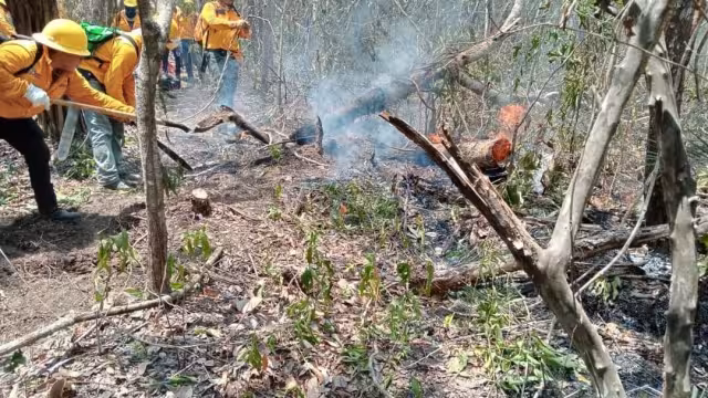 Autoridades señalan avance en el control del incendio en Chun Ek, Hopelchen
