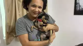 La propietaria de los cachorros es habitante de la Ciénaga 2000.