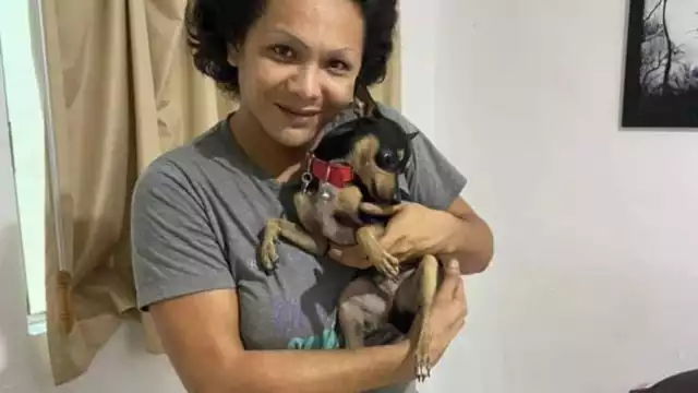 La propietaria de los cachorros es habitante de la Ciénaga 2000.