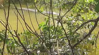 Los niveles de la ría y la draga han rebosado. Foto: Alfredo Canto May.