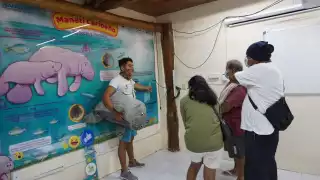 Santuario del Manatí, una opción turística en Chetumal