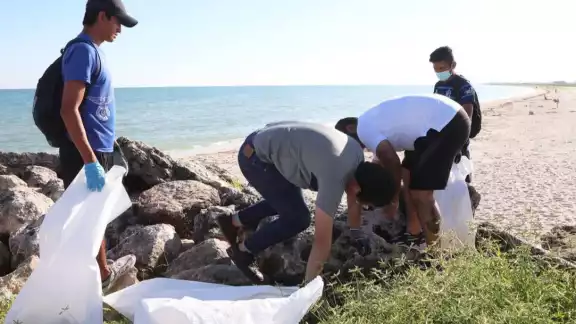 14 playas de Yucatán recibieron mantenimiento 14 playas de Yucatán recibieron mantenimiento