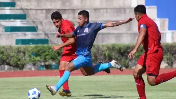 Inter Playa del Carmen vence a Toros de Miura en debut del Torneo Apertura 2022 Inter Playa del Carmen vence a Toros de Miura en debut del Torneo Apertura 2022