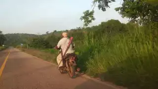 Afectados señalan que han perdido parte de sus cosechas y que este problema se repite con cada periodo de siembra, por lo que ahora acuden con rifles a sus milpas.