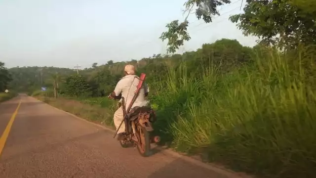 Afectados señalan que han perdido parte de sus cosechas y que este problema se repite con cada periodo de siembra, por lo que ahora acuden con rifles a sus milpas.
