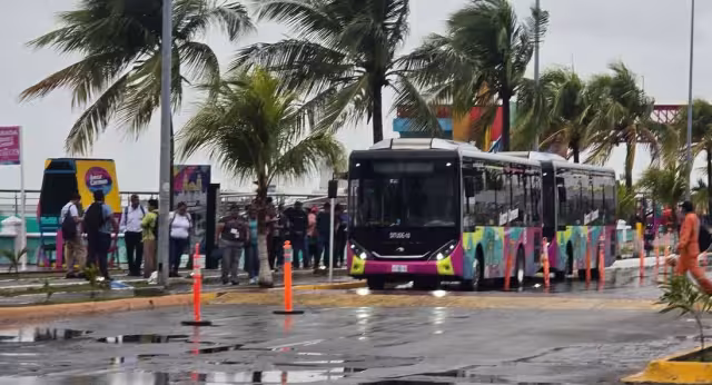 Transporte municipal “Amor por Carmen” opera sin concesión desde 2024