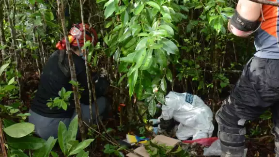 Uno de los casos más sonados fue el hallazgo de fosas clandestinas en la delegación Alfredo V. Bonfil en el municipio de Benito Juárez Uno de los casos más sonados fue el hallazgo de fosas clandestinas en la delegación Alfredo V. Bonfil en el municipio de Benito Juárez