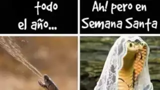 Memes de Semana Santa 2025; cuándo termina 