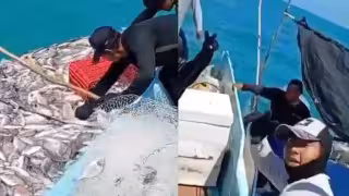Ribereños logran captura de cinco toneladas de chachí en litoral de Seybaplaya