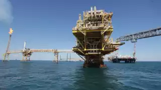 Desde que el Regulado tuvo conocimiento del evento el día 6 de julio, notificó a esta Agencia de lo acontecido.
