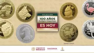 100 años del zoológico de Chapultepec
