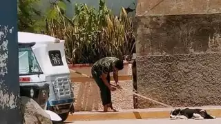 Hombre mata a perro y lo tira a la basura en Oaxaca