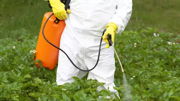 En Campeche se hizo estudios para detecer la presencia de glifosato en zonas cercanas a los terrenos donde se cultiva soya transgénica En Campeche se hizo estudios para detecer la presencia de glifosato en zonas cercanas a los terrenos donde se cultiva soya transgénica