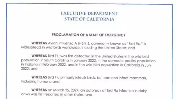 El gobierno de California declara estado de emergencia de gripe aviar.