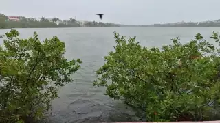 Desaguan salinas por riesgo de desborde en Isla Mujeres