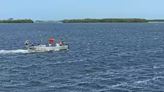 Detectan mancha en el mar de posible marea roja al Oriente de Yucatán 