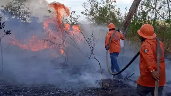 La Dirección de Protección Civil informó que el fuego se originó cuando Gloria Esther Canul realizaba la quema de una parte de la maleza de sus terrenos La Dirección de Protección Civil informó que el fuego se originó cuando Gloria Esther Canul realizaba la quema de una parte de la maleza de sus terrenos