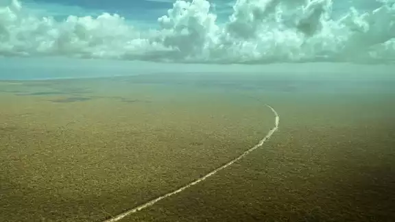 AMLO difundió una fotografía aérea de la línea de construcción del proyecto ferroviario en medio de la selva
