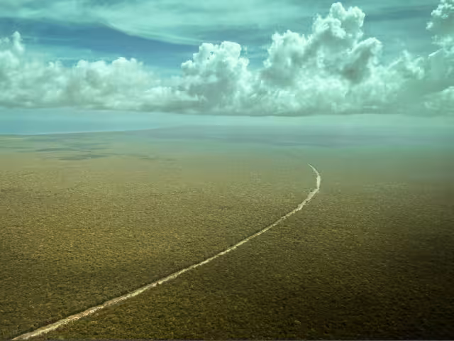 AMLO difundió una fotografía aérea de la línea de construcción del proyecto ferroviario en medio de la selva

