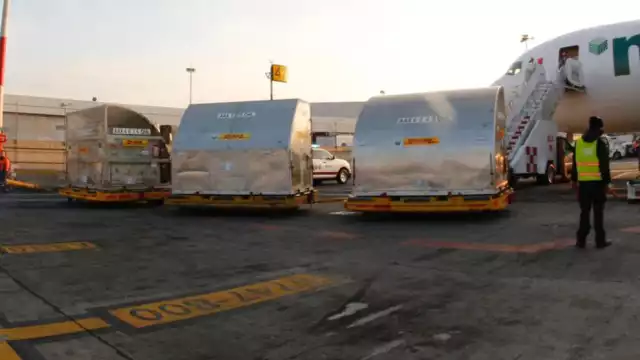 Arriban 990 mil biológicos para continuar la inmunización de niñas y niños de 5 a 11 años