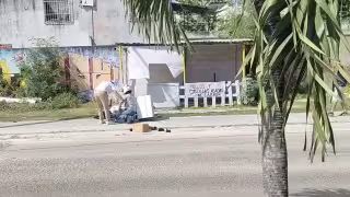 Motorepartidor resulta lesionado tras derrapar en la avenida Pacto Obrero de Chetumal