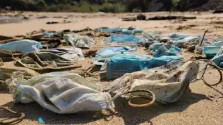 Podrían ser consumidos por las especies acuáticas