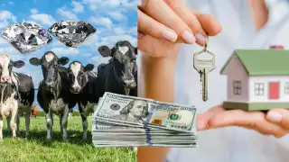 Los premios van desde animales, dinero hasta joyas