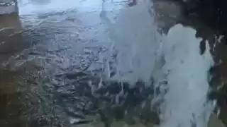 CFE y Ayuntamiento atenderán afectaciones en mercado de Carmen