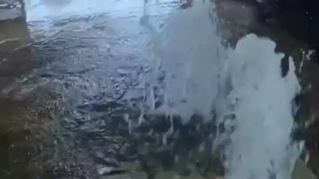 Locatarios exigen solución a inundaciones en el mercado Felipe de Andrade