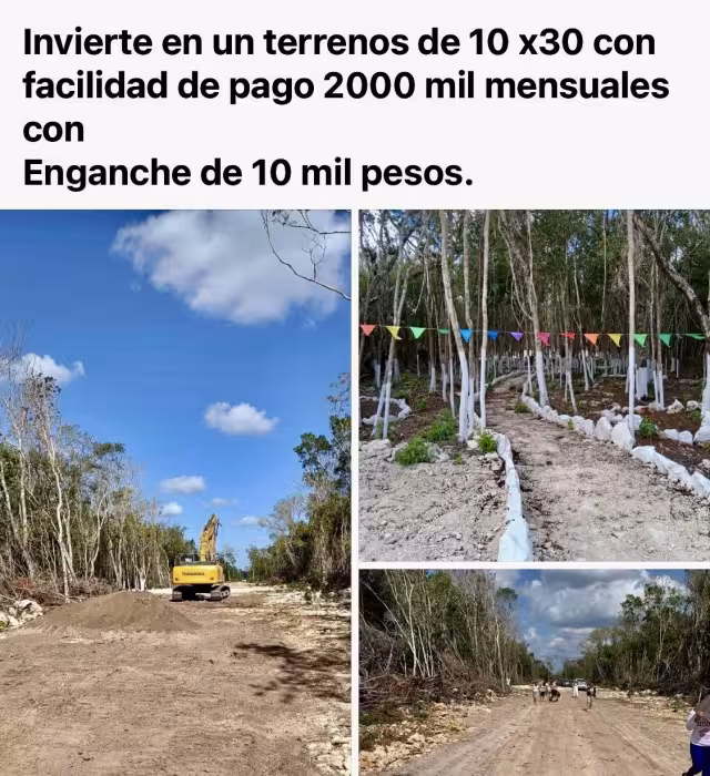 Habitantes construyen viviendas en zonas sin agua potable, drenaje ni energía eléctrica