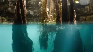 Para llegar a sus aguas cristalinas de tonos azules debes bajar por unas escaleras de madera