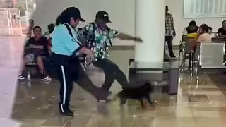 IMSS Bienestar se deslinda de trabajadores que maltrataron a perrita en el Hospital de Campeche