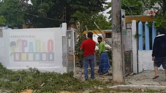 Desde hace varios meses se ha denunciado el peligro que representa un árbol para los niños, mismos que ha causado daño Desde hace varios meses se ha denunciado el peligro que representa un árbol para los niños, mismos que ha causado daño