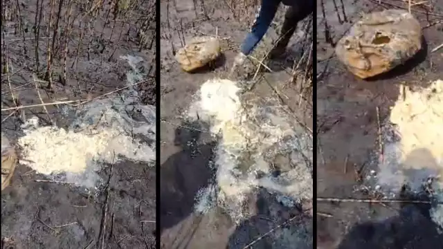 Los cuerpos habían sido disueltos en ácido