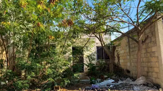 Las sanciones por predios abandonados en Mérida podría llegar al embargo del terreno