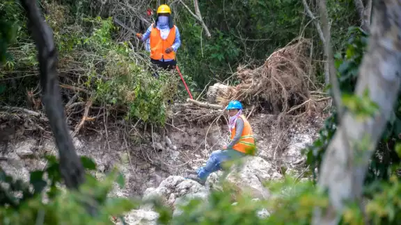 En Yucatán se encuentran trabajando dos de los proyectos más grandes que son las granjas porcícolas y el Tren Maya En Yucatán se encuentran trabajando dos de los proyectos más grandes que son las granjas porcícolas y el Tren Maya