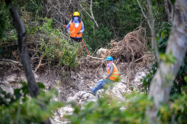 En Yucatán se encuentran trabajando dos de los proyectos más grandes que son las granjas porcícolas y el Tren Maya