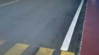 Hallan bolsas con restos humanos en la colonia El Pedregal de Playa del Carmen