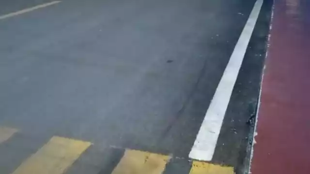 Ante el hallazgo, los vecinos dieron parte al número de emergencia 911 y solicitaron la presencia de elementos de la Policía Municipal