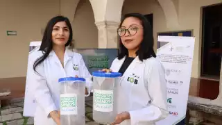 Carreras veterinarias en la UADY se saturan; recibirán a 520 estudiantes este 2025