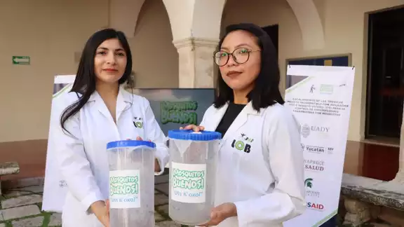 Más presencia de yucatecas en puestos clave de investigación y liderazgo académico