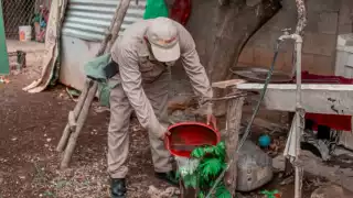 La acción tendrá lugar en los municipios más inundados