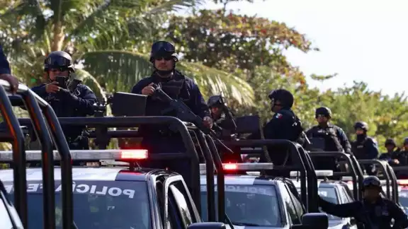 Serán los organismos encargados de combatir las irregularidades. Serán los organismos encargados de combatir las irregularidades.