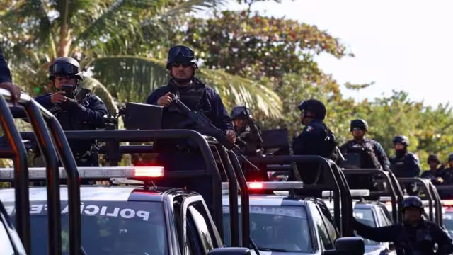 Serán los organismos encargados de combatir las irregularidades.